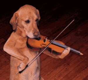 dog playing violin unidentified from pinterest