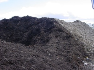 NPR free mulch pile